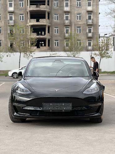 byd e6: Tesla Model Y: 2023 г., 5.5 л, Автомат, Электромобиль, Седан — 3