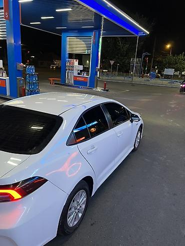 leopard 3: Toyota Corolla: 2019 г., Гибрид, Седан — 3