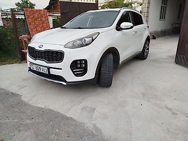 стекол: Kia Sportage: 2017 г., 2 л, Автомат, Дизель, Кроссовер — 3