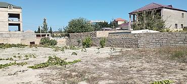 lan: 21 sot, Tikinti, Makler, Kupça (Çıxarış) — 3