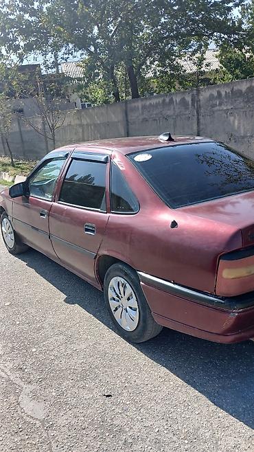 Opel Vectra: 1994 г., 0.6 л, Механика, Седан