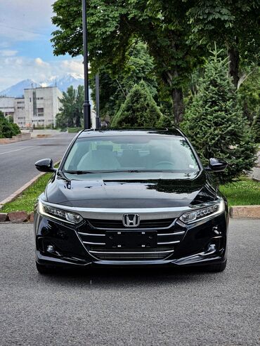 авто аренда выкуп: Honda Accord: 2024 г., 1.5 л, Вариатор, Бензин, Седан