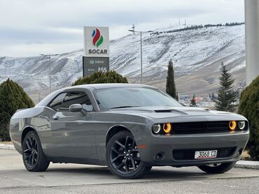 салон на 124: Dodge Challenger: 2019 г., 3.6 л, Автомат, Бензин, Купе