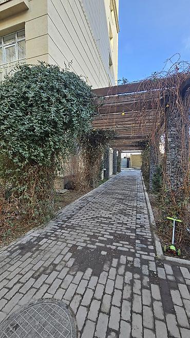 Продажа квартир: 3 комнаты, 67 м², Элитка, 9 этаж, Евроремонт — 19