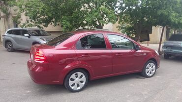 saipa azerbaijan satis merkezi: Ravon : 1.6 l | 2018 il | 183000 km Universal