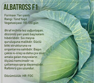 Torf: Torf 250 litrlik balaken torfu ekolayf peyin torpaq şitil qablarda — 22