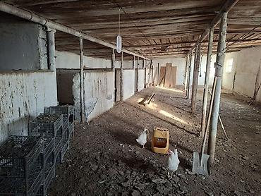 Продажа дач: Продается дом-фазенда в городе Балыкчы. Большой участок -40 — 16