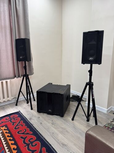 аппаратура музыкалный: Продаю акустическую систему Peavey Triflex II — отличный выбор для