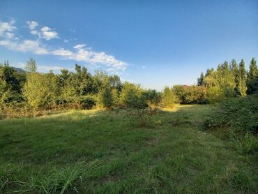 Torpaq sahələrinin satışı: 10 sot, Tikinti, Mülkiyyətçi, Kupça (Çıxarış) — 8