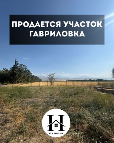 рабочий городок пол дома: 🏡 Продаётся участок в селе Гавриловка 📍 300–400 метров от трассы