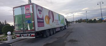 Tırlar: DAF XF traktor + soyuduculu yarımqoşqu - Marka/model: DAF XF (çekici) — 1