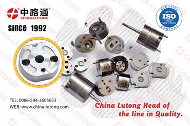 Fuel Injection Pump Plunger 1 ve China Lutong is one of professional