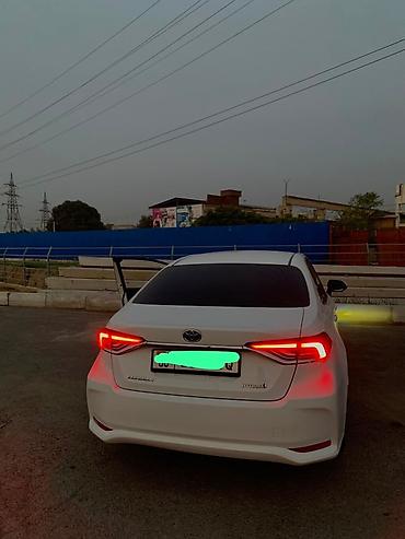 карол: Toyota Corolla: 2019 г., Вариатор, Гибрид, Седан — 2