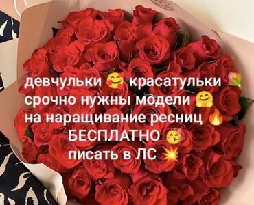 лазерная эпиляция цена бишкек: Ресницы, Голливуд, Классика, 2D, Требуются модели