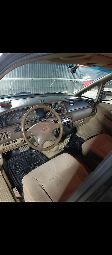 я ищу газ 53: Honda Odyssey: 1998 г., 2.3 л, Автомат, Бензин, Минивэн — 7