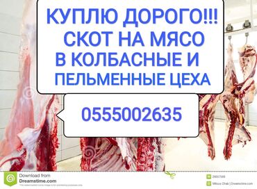 купить айфон х бу in Кыргызстан | APPLE IPHONE: Забираем сами, работаем постоянно