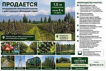 200 соток, Айыл чарба үчүн, Башкы ишеним кат — 1