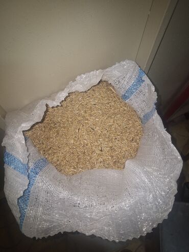 Мясная и рыбная продукция: 38.qəpikdən arpa 500kq dır