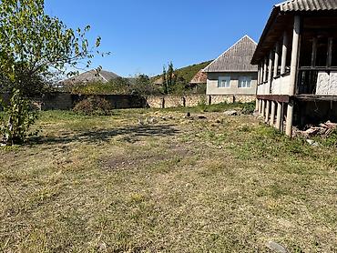 torpaq sirvan: 11 sot, Kupça (Çıxarış) — 8
