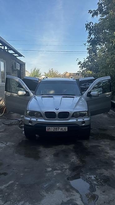 daf tandem: BMW X5: 2002 г., 3 л, Автомат, Дизель, Кроссовер — 10