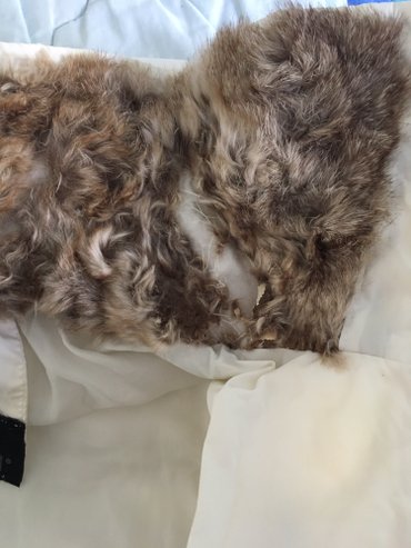 Zimske jakne: Sorbino bela perjana jakna veličina l. Na kragni je pravo krzno koje — 9