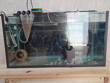 Akvariumlar: Dördbucaq akvarium, Boş, 110 l, Ünvandan götürmə — 2