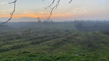 Torpaq sahələrinin satışı: Kənd təsərrüfatı, Mülkiyyətçi — 9