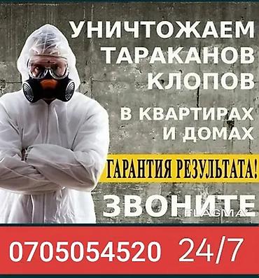 Профессиональная дезинсекция помещений от тараканов и клопов. - at lalafo.kg Профессиональная дезинсекция помещений от тараканов и клопов. -