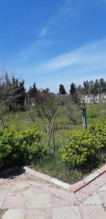 müşfiqabad ev satışı: Digah, 1100 kv. m, 4 otaqlı, Hovuzlu, Qaz, Telefon, İnternet — 8