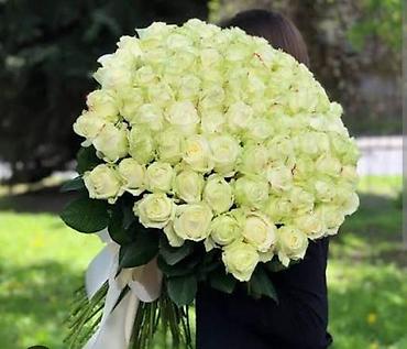 101 gul: 101 Roza🌹120₼ 60 sant - Qırmızı qızılgül buketi: sıx və həcimli — 5
