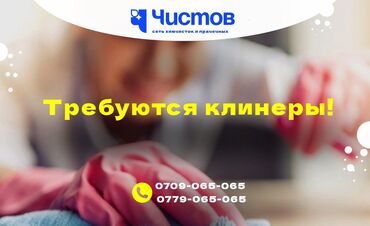 Другие специальности: В клининговую компанию «Чистов» На постоянную работу