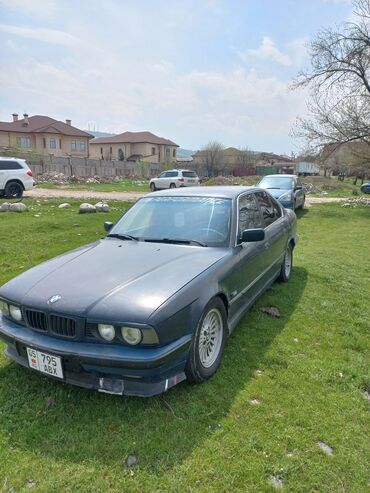 бмв 1995: BMW 5 series: 1995 г., 2 л, Механика, Бензин, Седан