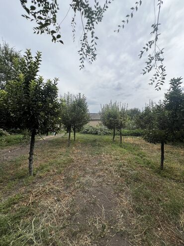дом район кирпичный: Дом, 40 м², 4 комнаты, Риэлтор, Косметический ремонт