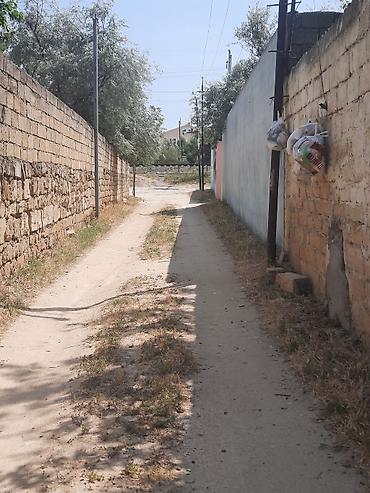 sabit rehman kucesi: Salam.19 Sotun içində Corat bağı satılır.Dənizə piyada 15 dəqiqəlik — 8