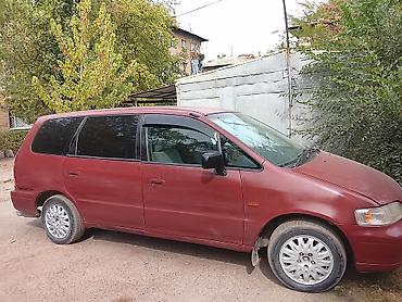 бизнес машина: Honda Odyssey: 1995 г., Минивэн — 3