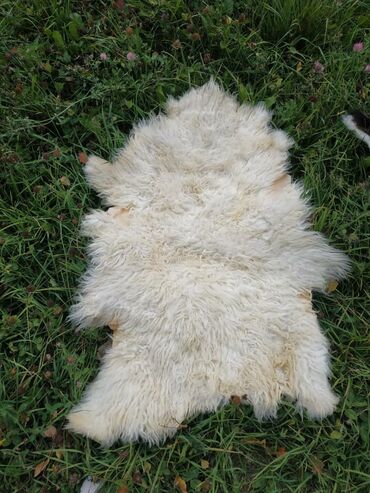 Ковры и паласы: Ковер Новый, Мех, Безналичная/наличная оплата at lalafo.kg — 6 Ковры и паласы: Ковер Новый, Мех, Безналичная/наличная оплата — 6