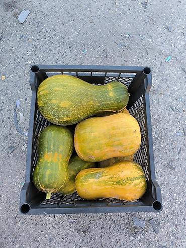 Ящики: Пластиковый Ящик — 30