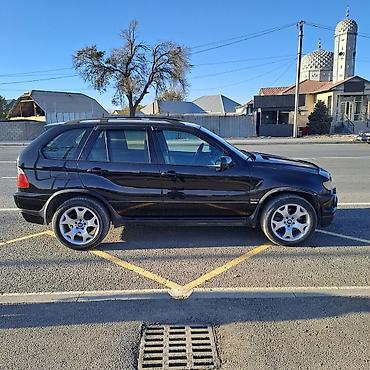 350 rx 2010: BMW X5: 2003 г., 3 л, Автомат, Дизель, Кроссовер — 6