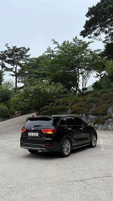range river: Kia Sorento: 2019 г., 2.2 л, Автомат, Дизель, Кроссовер — 5