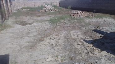 albalida torpaq satilir: 3 sot, Tikinti, Kupça (Çıxarış) — 5