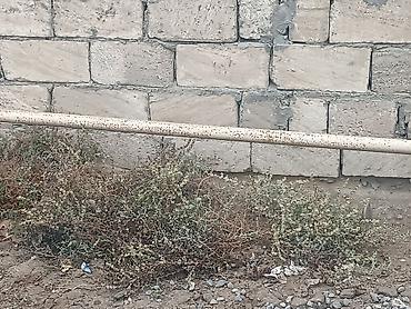 qoc satisi: 6 sot, Tikinti, Mülkiyyətçi, Kupça (Çıxarış) — 5