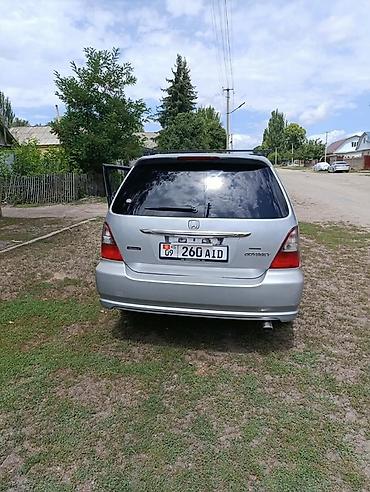 sprinter 2003: Honda Odyssey: 2003 г., 2.3 л, Автомат, Бензин, Минивэн — 1