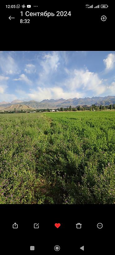 Продажа участков: 13 соток, Для бизнеса — 5