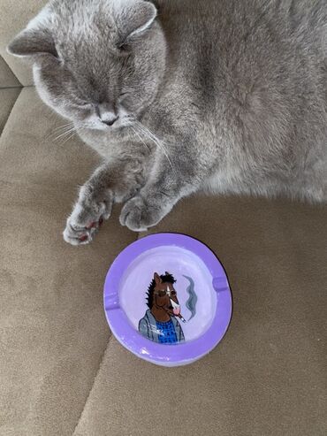 Quruducular: Bənövşəyi kənarlı, dairəvi külqabı. İç hissəsində əl ilə çəkilmiş