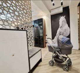 Gəzinti arabaları: Çıxarıla bilən beşikli araba