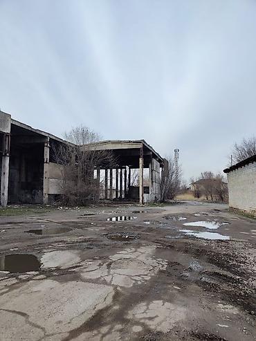 Продажа участков: 100 соток — 9