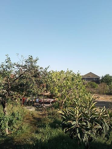 mingecevirde torpaq satisi: 10 sot, Tikinti, Mülkiyyətçi, Kupça (Çıxarış) — 7