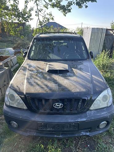 трекер авто: Hyundai Terracan: 2003 г., 3 л, Дизель, Внедорожник — 4