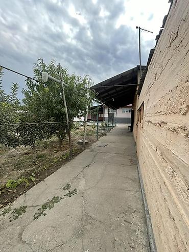 базарить: Продается дом в селе Новопокровка, улица Линейная тупик 7. Дом двух — 4