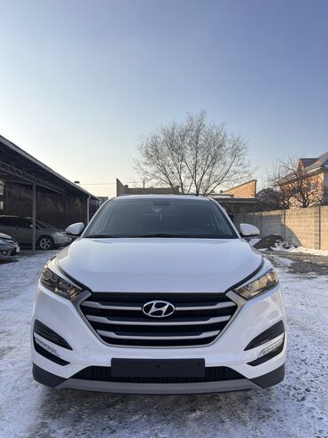 хундай туксон 2016: Hyundai Tucson: 2017 г., 2 л, Автомат, Дизель, Кроссовер